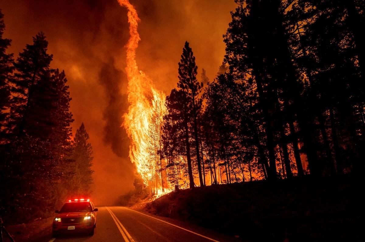 Flames leap from trees as the Dixie Fire jumps Highway 89 north of Greenville in Plumas County, ...