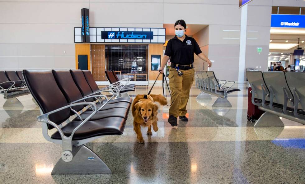 Transportation Security Administration handler Vanessa works with her dog Alona, a 4-year-old G ...