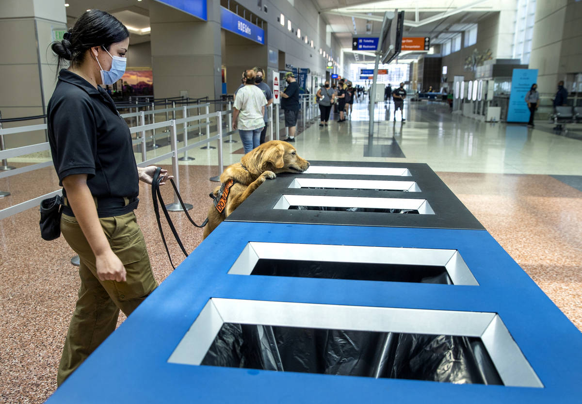 Transportation Security Administration handler Vanessa inspects garbage bins as she works with ...
