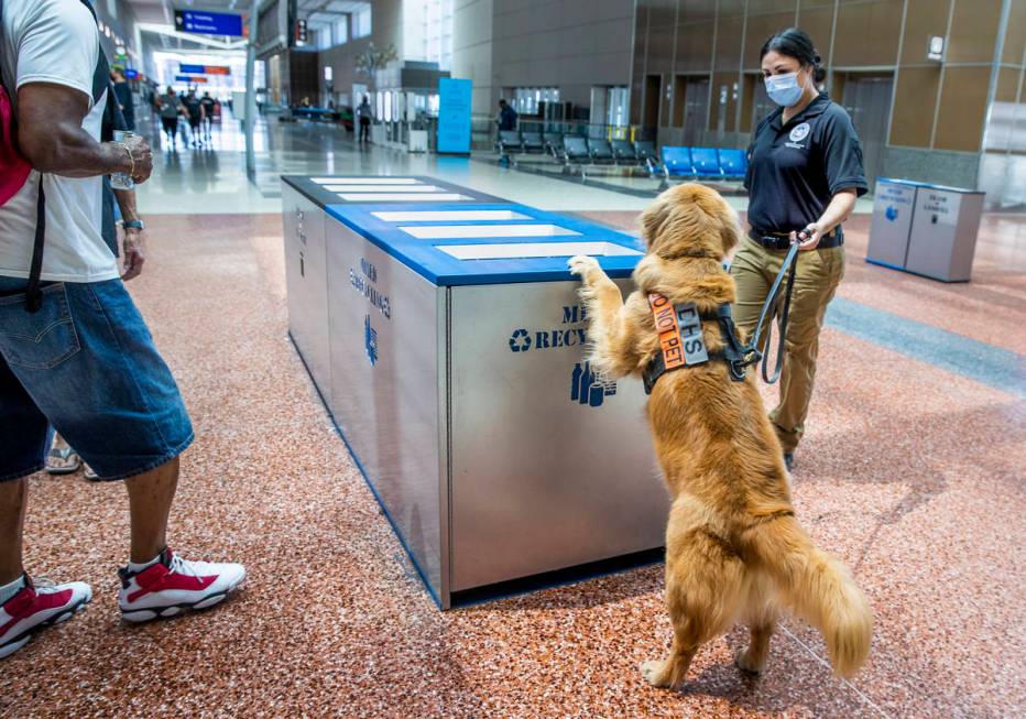 Transportation Security Administration handler Vanessa, who declined to provide her last name, ...