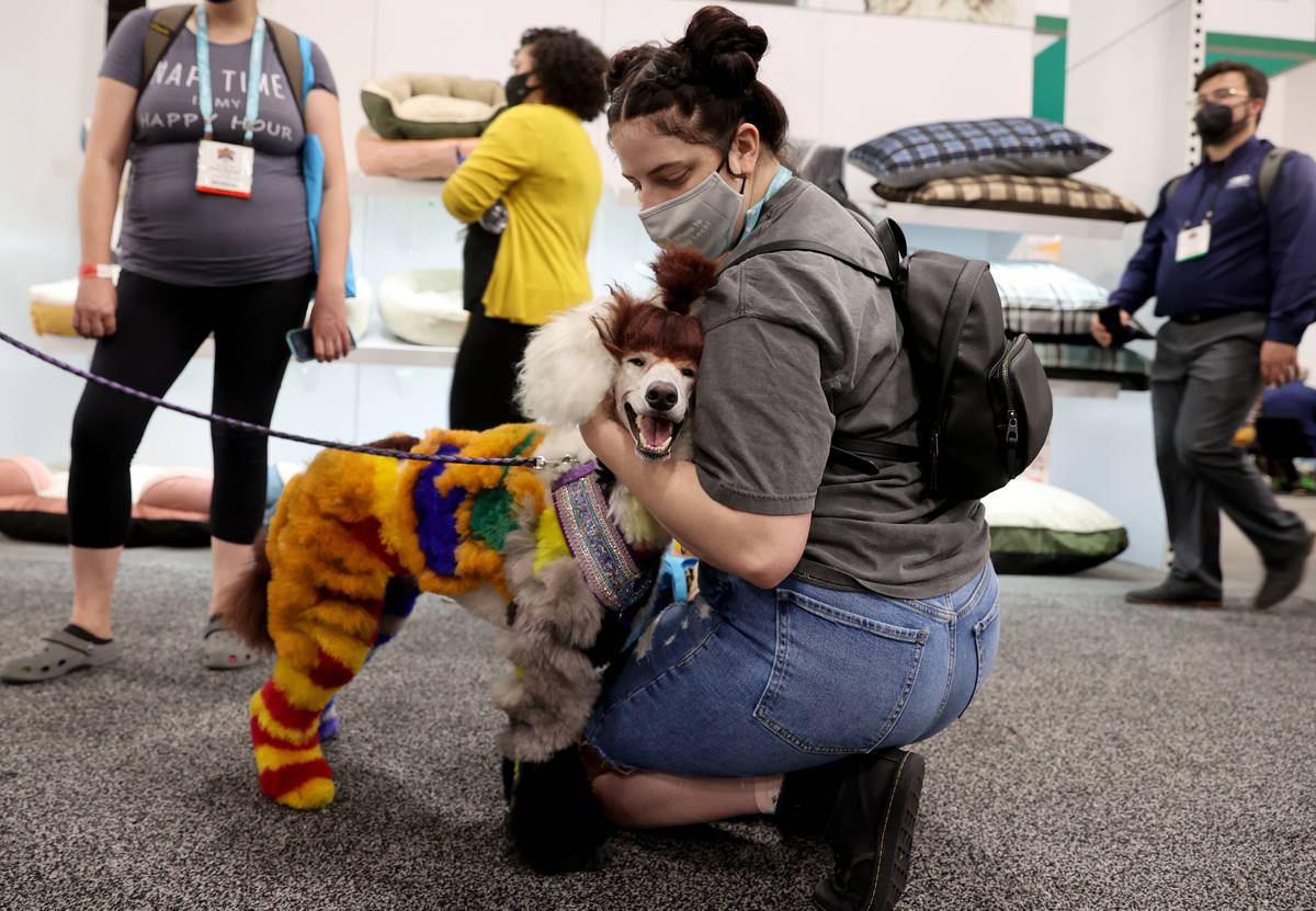 Taylor gets some love from Christie Mangum of Lehi, Utah, after Taylor's owner, Erin Martin, ow ...