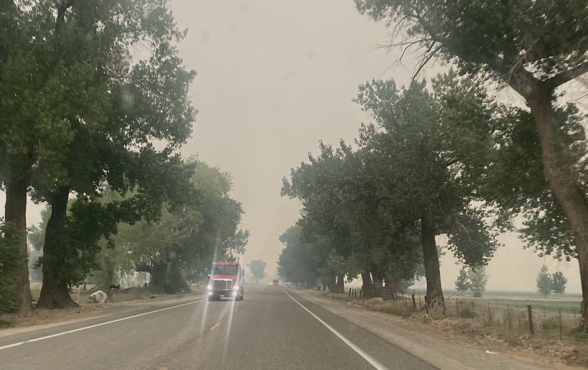 Trees masked by fire smoke on SR 95 north of Yerington, NV., on Tuesday, Aug. 31, 2021. (L.E. B ...
