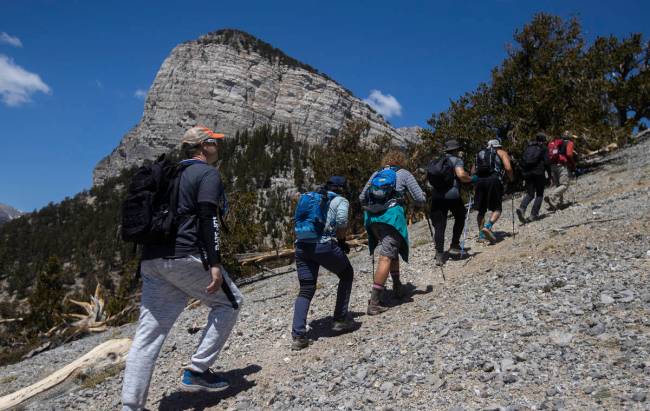 52 Peaks hikers make their along Fletcher Peak at Mount Charleston on Tuesday, May 18, 2021, ne ...
