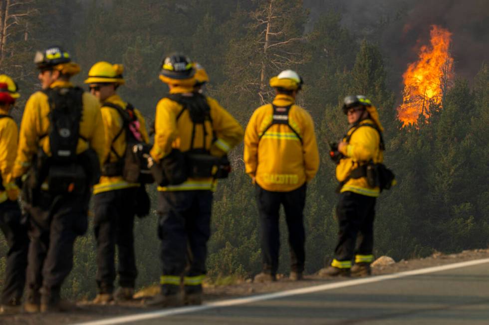 Division of Forestry wildland firefighters gather as flames erupt on a nearby ridge above Caple ...