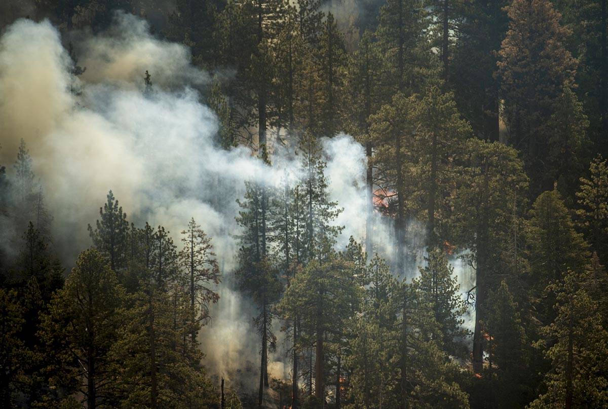 Flames burn on a leading edge of the Caldor Fire as it moves along State Route 89 on Wednesday, ...