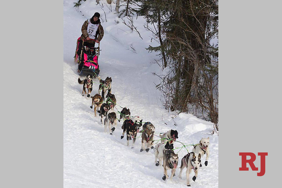 Cadet, lead dog, and Skye, last dog, left, for musher Wade Marrs are shown during the 2013 Idit ...