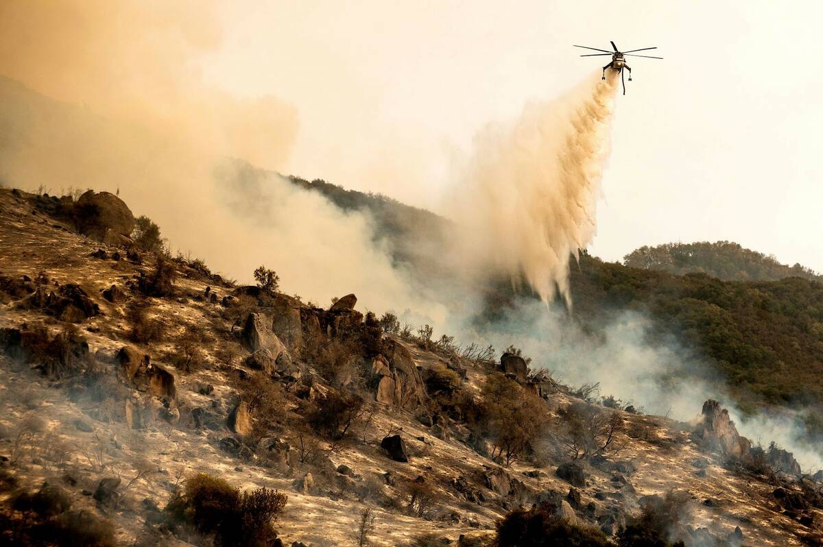 A helicopter drops water on the KNP Complex Fire burning along Generals Highway in Sequoia Nati ...