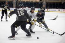 Golden Knights forward Lucas Elvenes (25) passes as forwards Pavel Dorofeyev (16) and Gage Quin ...