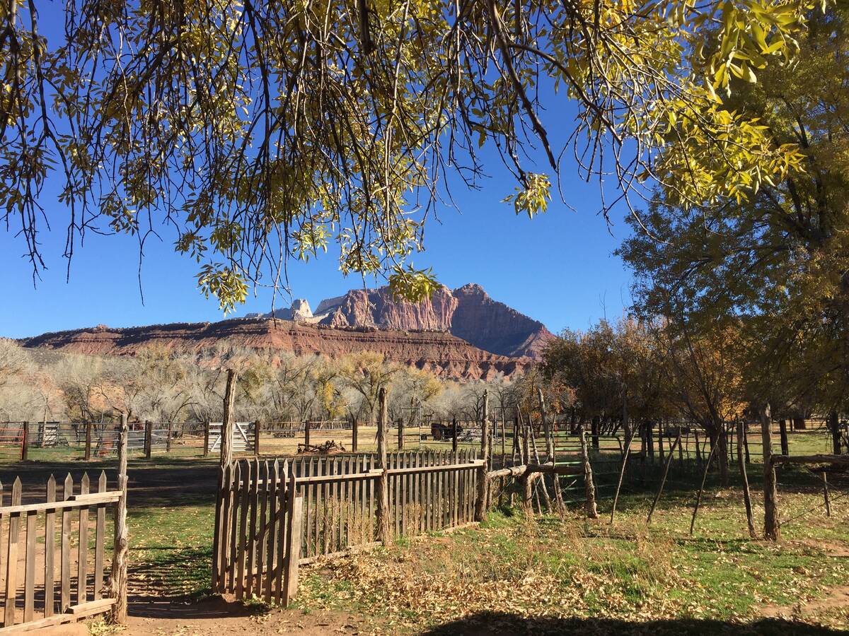 Grafton has one of the best views of Zion’s Mount Kinesava. (Photo by Deborah Wall)
