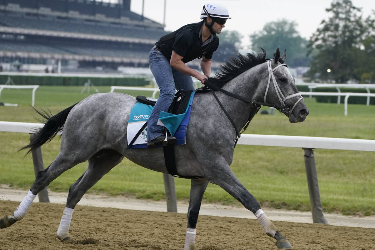 Essential Quality trains ahead of the 153rd running of the Belmont Stakes horse race in Elmont, ...