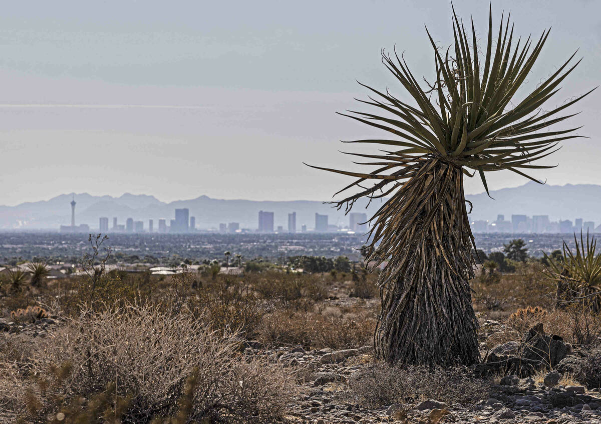 The Las Vegas skyline seen from a vacant field on Saturday, Oct. 9, 2021, in Las Vegas. (Benjam ...