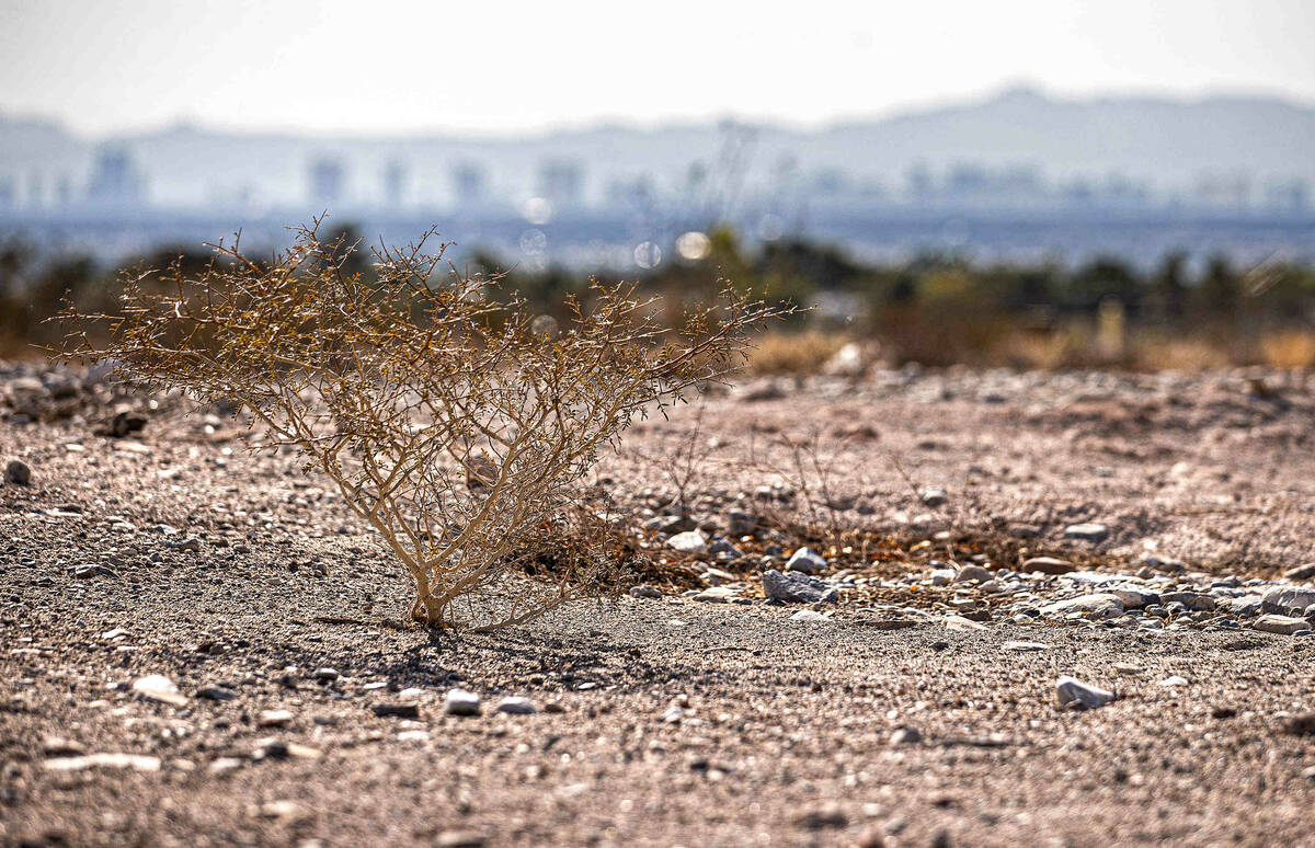 The Las Vegas skyline seen from a vacant field on Saturday, Oct. 9, 2021, in Las Vegas. (Benjam ...