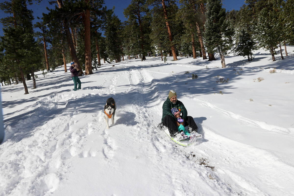 Rex Parker, his daughter Ava Parker, 2, and dog Luna sled in freshly fallen snow in Upper Lee M ...