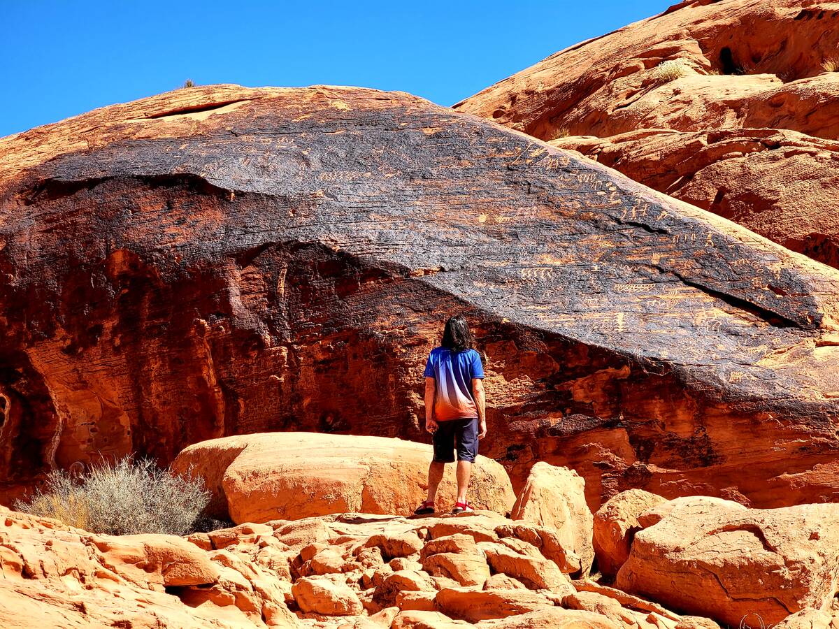 A visitor from Oregon studies a petroglyph panel at Valley of Fire State Park. (Natalie Burt)