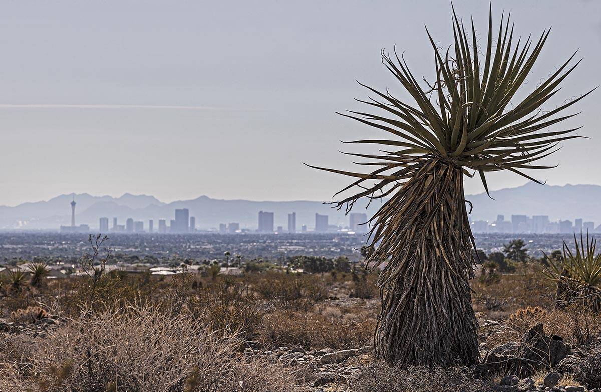 The Las Vegas skyline seen from a vacant field on Saturday, Oct. 9, 2021, in Las Vegas. High te ...