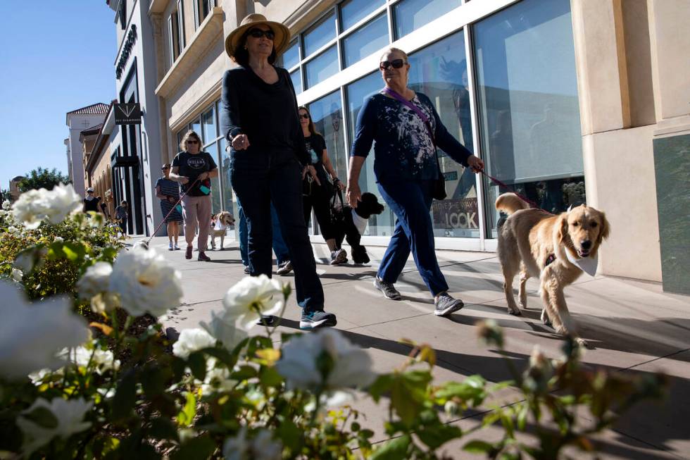 Jaclyn Szabo, left, and Dianne Schiller walk with golden retriever Suki during a walk in honor ...
