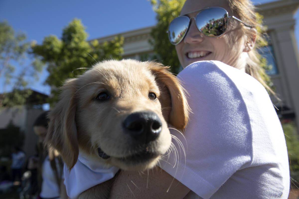 Dorothy Brewer holds her 12-week-old golden retriever Stella during a walk in honor of Tina Tin ...