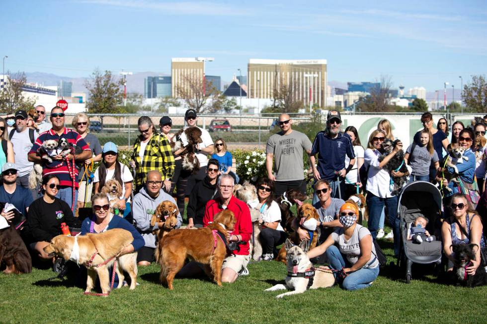 Owners and canines pose for a group photo during a walk in honor of Tina Tintor and her golden ...