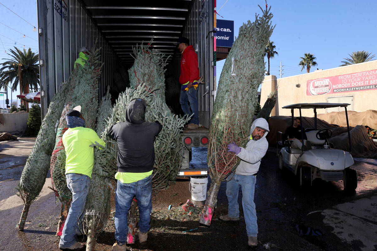 Workers load Christmas trees at Moon Valley Nurseries on South Eastern in Las Vegas Monday, Nov ...