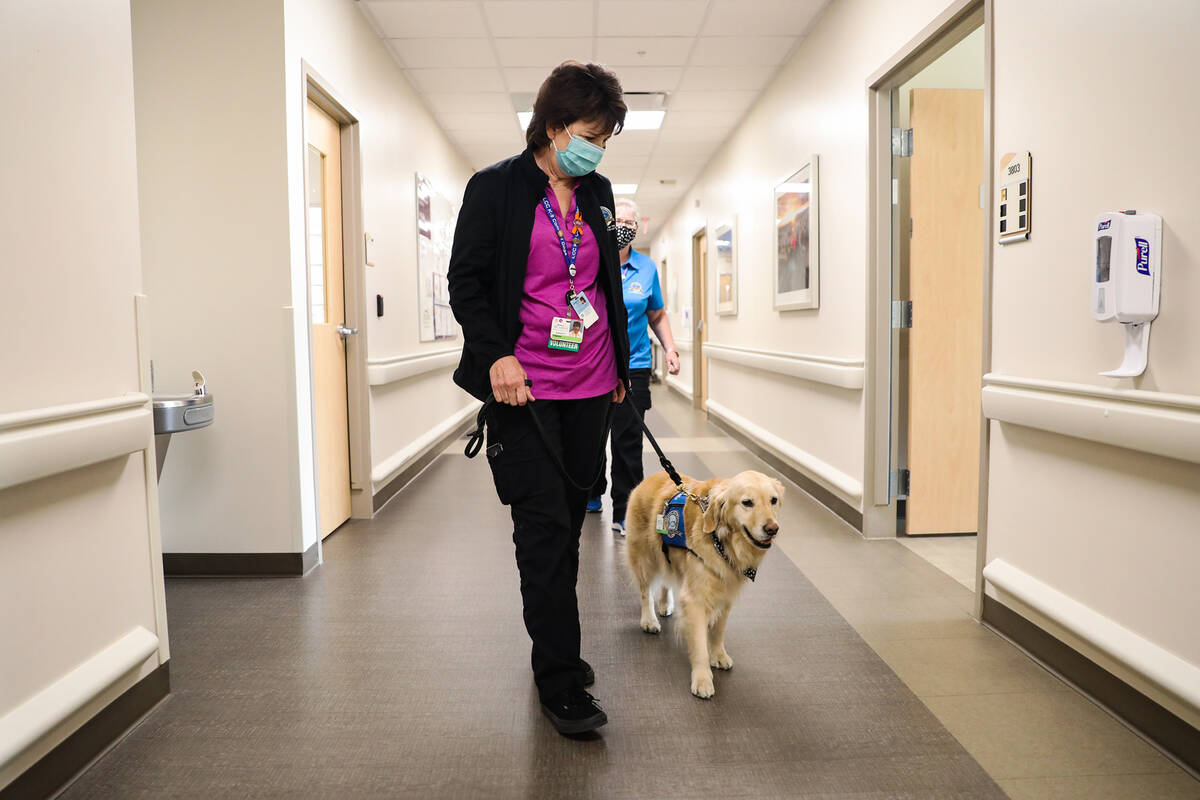 Jennifer Pollock, a volunteer with Lutheran Church Charities Comfort Dogs, guides Lois to a pat ...