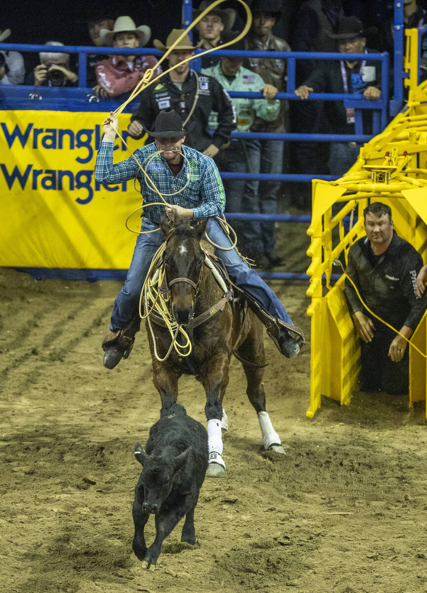 Caleb Smidt of Bellville, Texas, eyes his animal in Tie-Down Roping during the Round 3 of the W ...