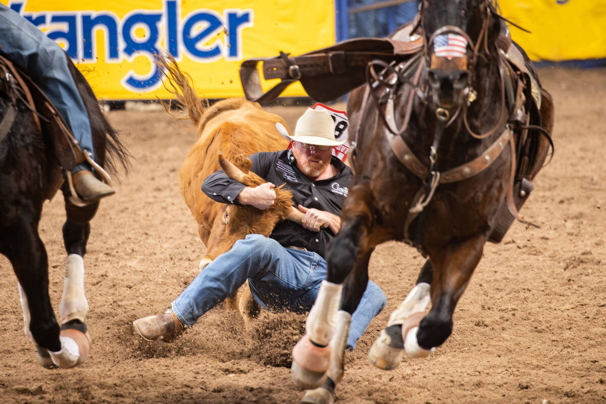 Steer wrestler Stockton Graves works to turf his steer in 3.80 seconds, tying for second place ...