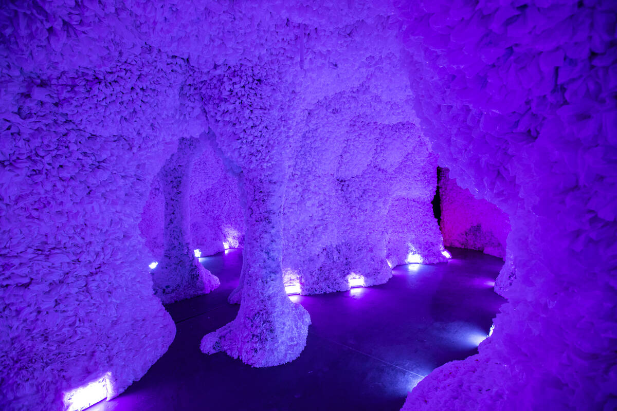 A cave made of plastic bags by artist Basia Goszczynska is seen during a tour of Arcadia Earth, ...