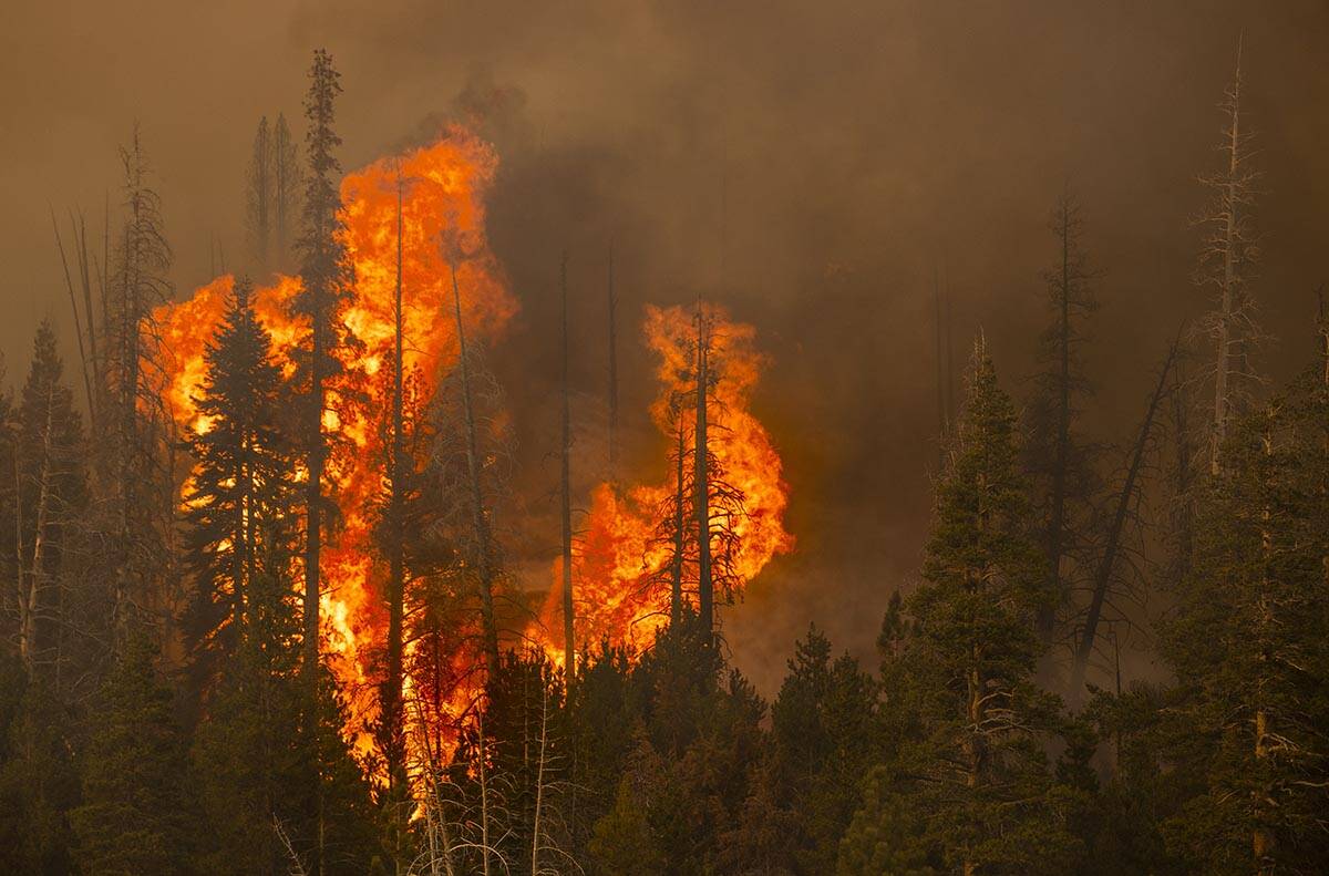 Flames erupt in trees on a nearby ridge above Caples Lake as the Caldor Fire continues to burn ...