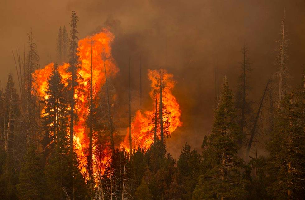 Flames erupt in trees on a nearby ridge above Caples Lake as the Caldor Fire continues to burn ...