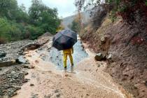 A local resident surveys the damage to a washed-out road in Silverado Canyon, Calif., Tuesday, ...