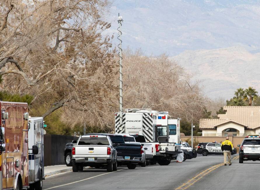 The Las Vegas Metropolitan SWAT unit responded to a domestic dispute at a home in the 7000 bloc ...