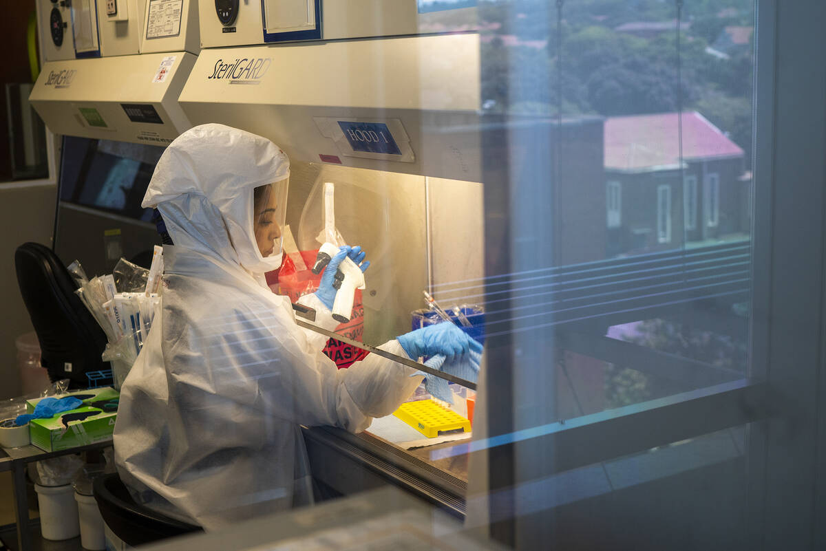 FILE - Scientists at the Africa Health Research Institute in Durban, South Africa, work on the ...