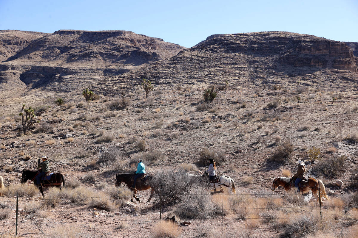 Guests on horses at Cowboy Trail Rides in Red Rock Canyon Tuesday, Jan. 25, 2022. (K.M. Cannon/ ...