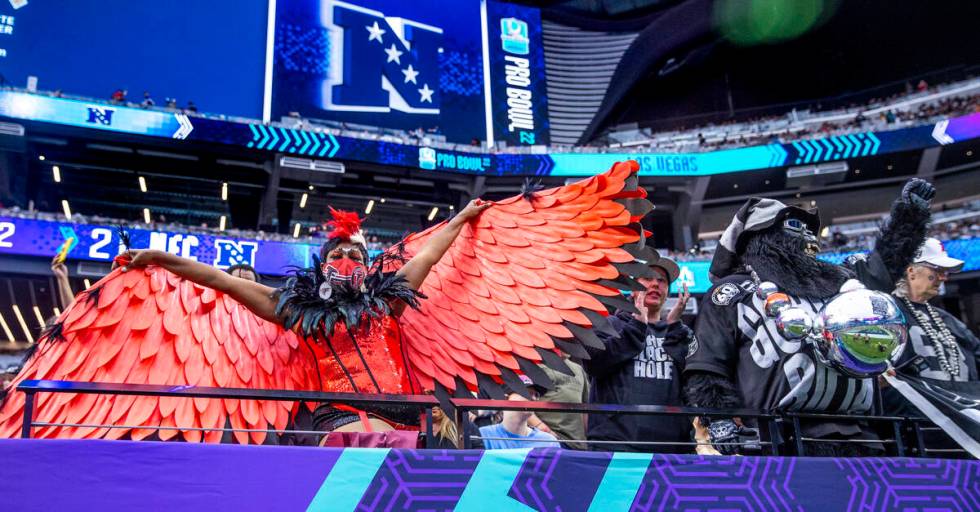 An Atlanta Falcons fan in falcon costume beside Gorilla Rilla during the second half of the Pro ...