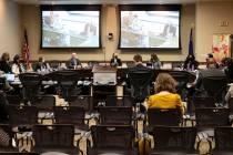 The Nevada System of Higher Education held a special meeting to fill in for Chair Cathy McAdoo ...