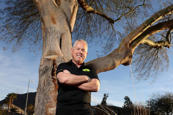 Preston Goodman, municipal forester for the City of Henderson, with a palo verde tree in the de ...