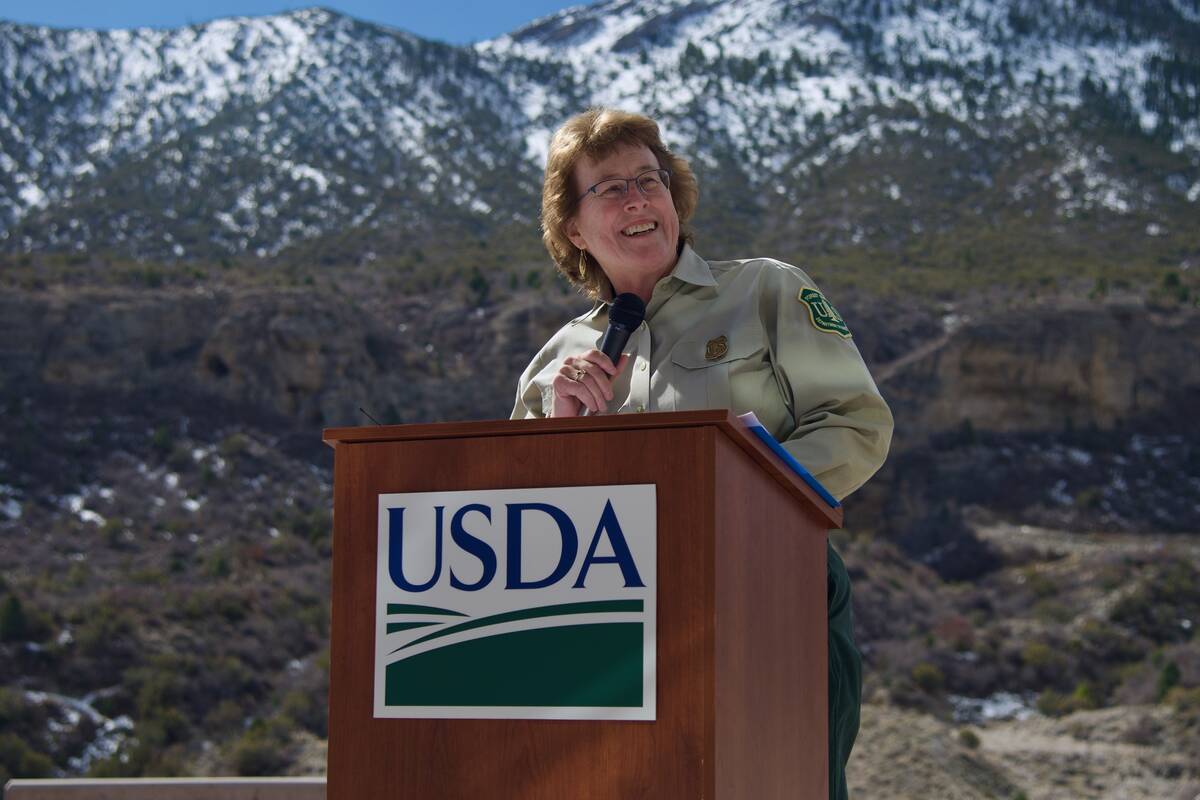 Mary Farnsworth, intermountain regional forester, speaking at a press conference in the Spring ...