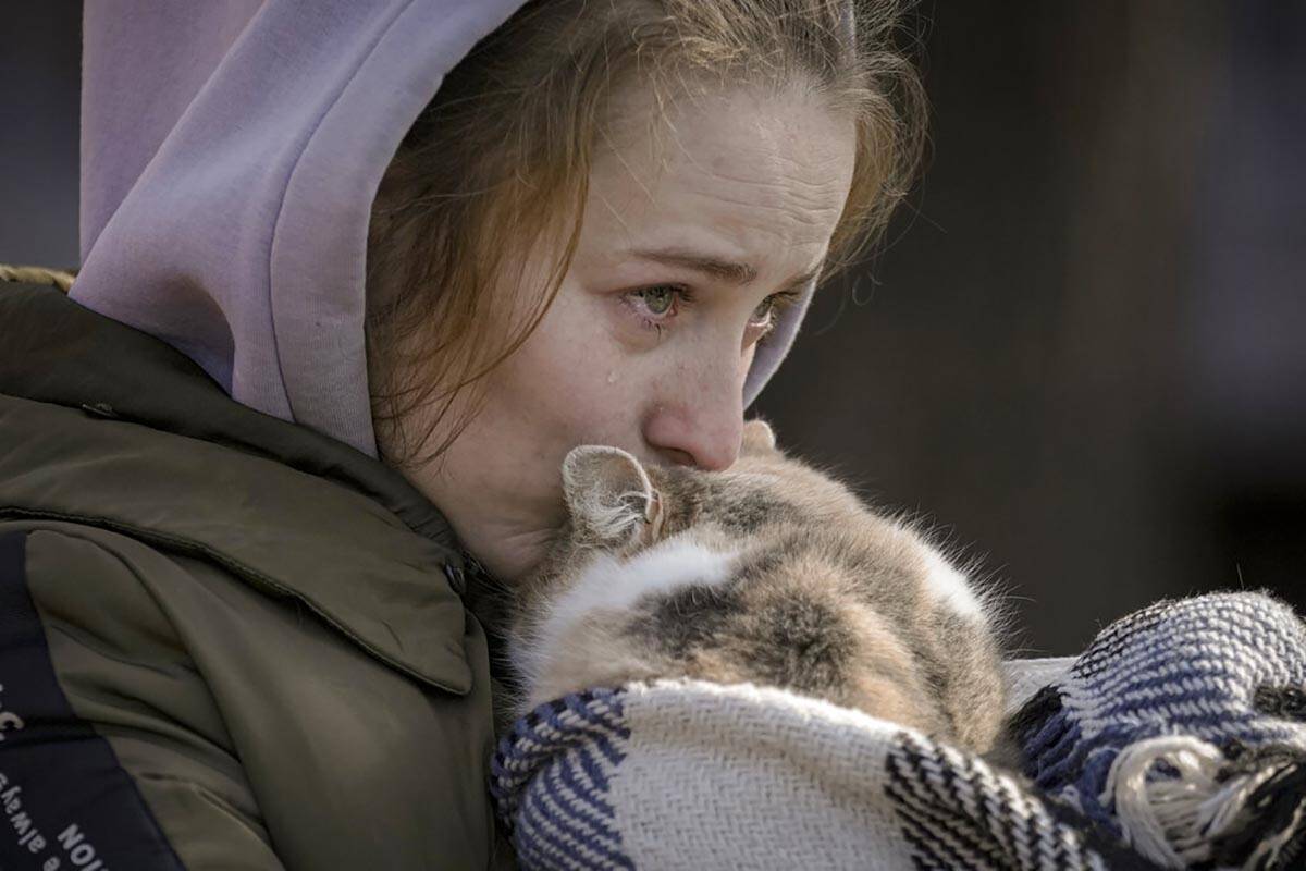 A woman who was evacuated from Irpin cries kissing a cat wrapped in a blanket at a triage point ...