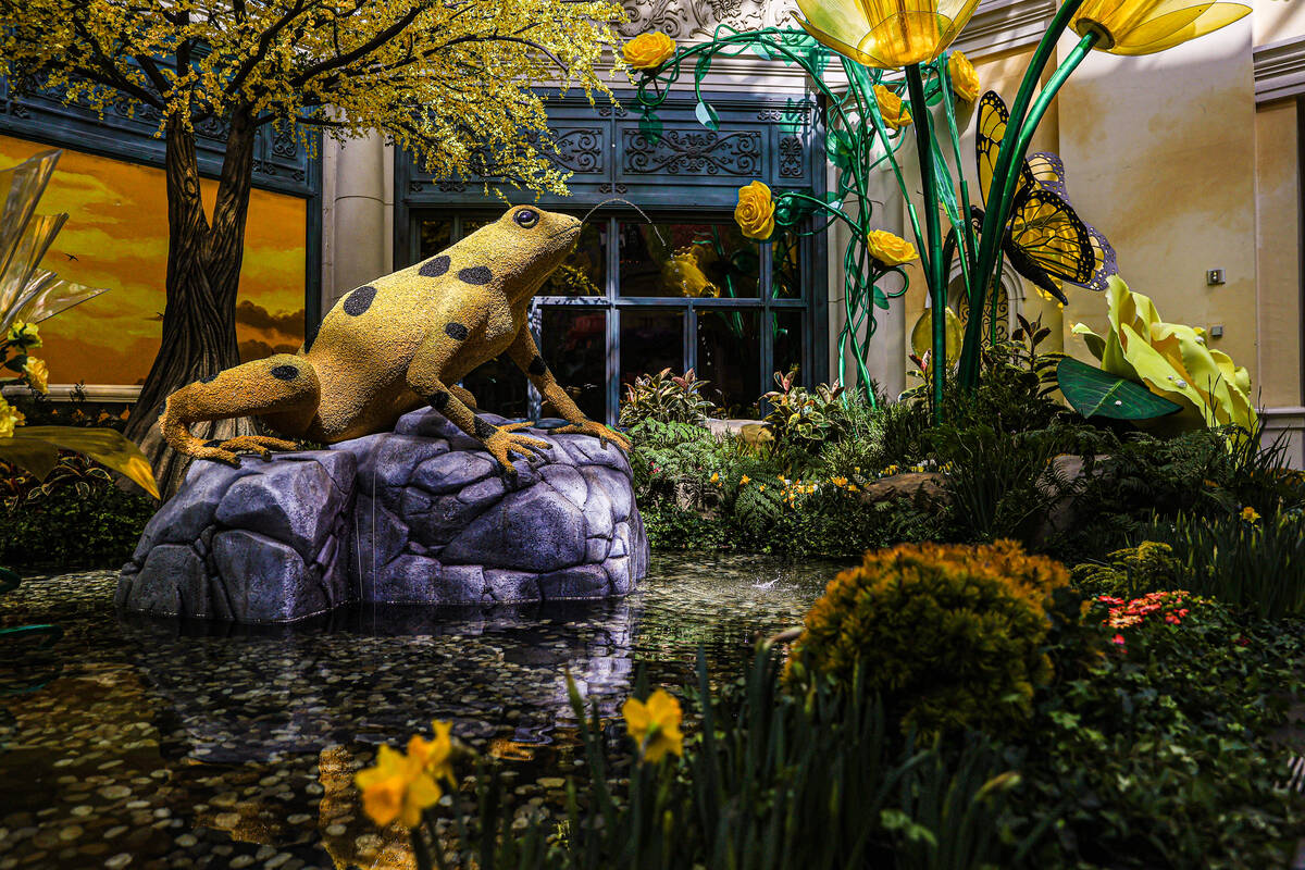 The new spring display “Flights of Fancy” at the Bellagio Conservatory on Monday, ...