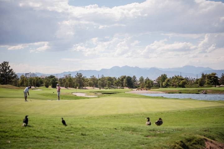 Desert Pines Golf Course on Wednesday, Aug. 30, 2017, in Las Vegas. Morgan Lieberman Las Vegas ...