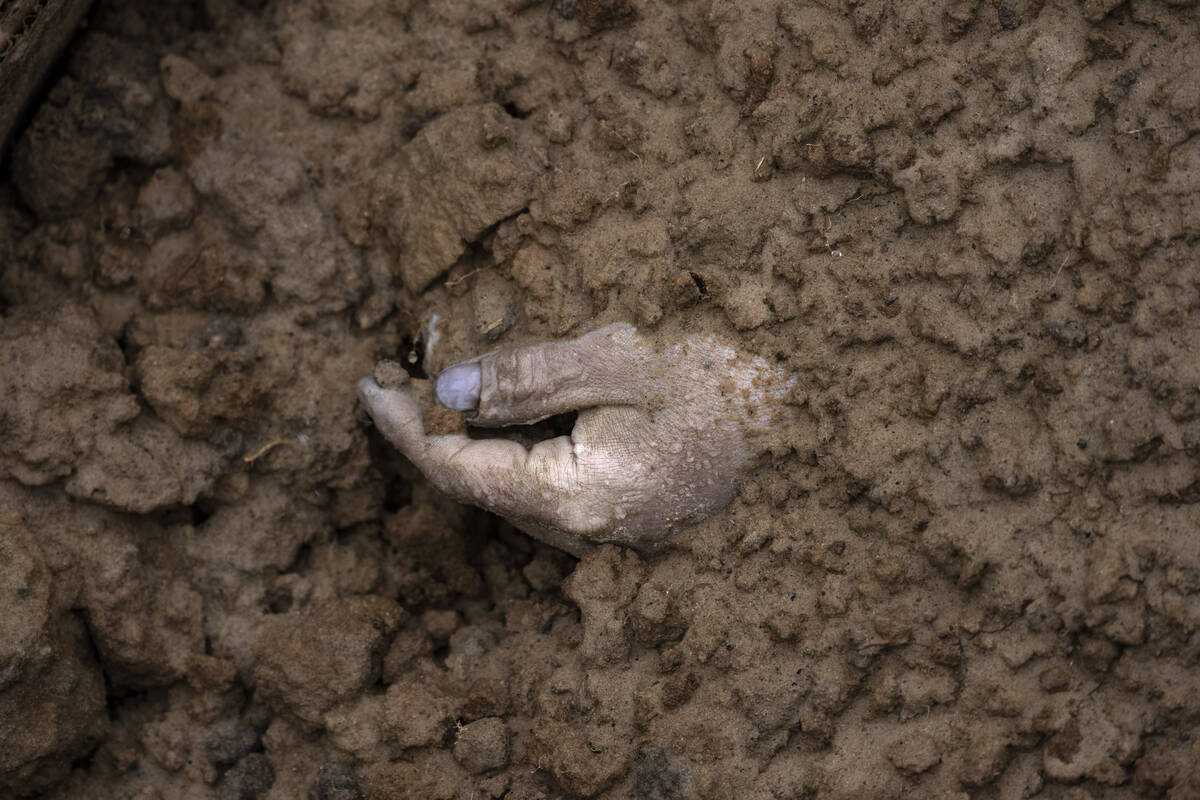 The hand of a corpse buried along with other bodies is seen in a mass grave in Bucha, in the ou ...