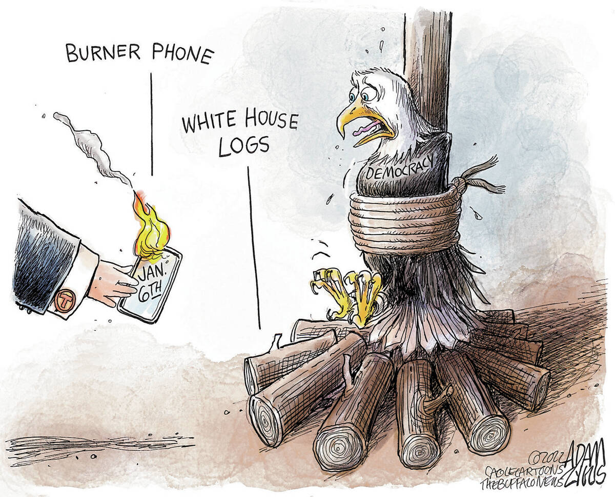 (Adam Zyglis/The Buffalo News)