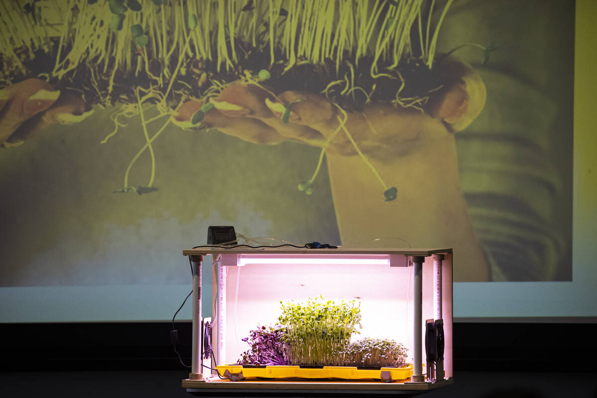 Microgreens are seen during a presentation by Esenjays for the inaugural President’s Inn ...