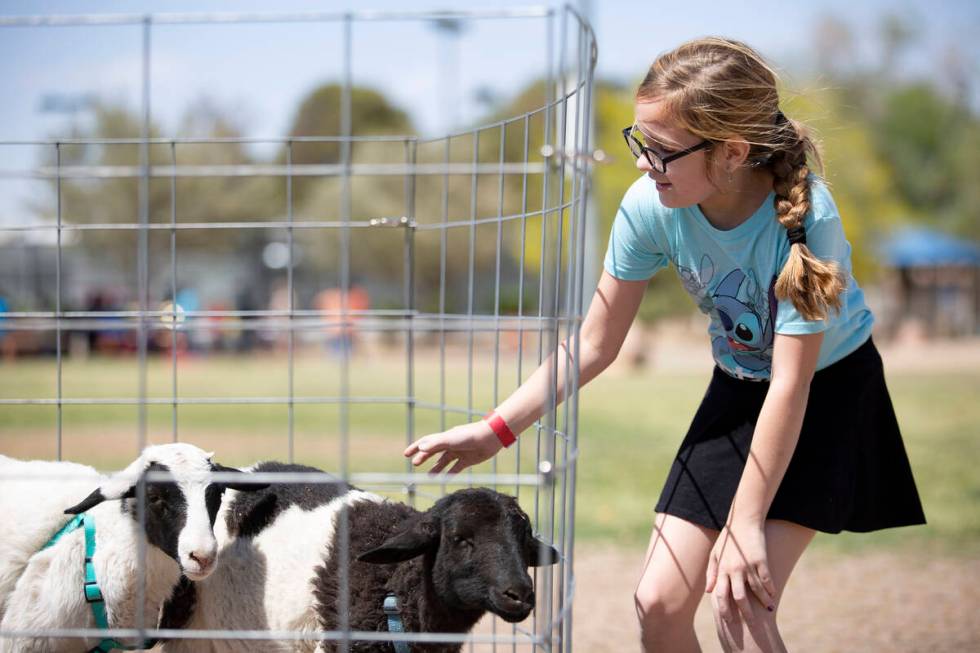 Zoey Hayden, 10, pets a goal during the Egg-Apalooza Easter event at the Paradise Recreational ...