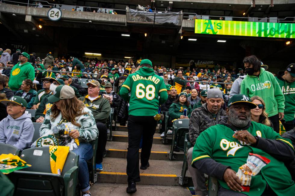 Oakland Athletics fans look on before the start of the opening night game against the Baltimore ...