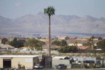 A Verizon cell tower is seen near the intersection of W. Pebble Road and W. Torino Avenue in La ...