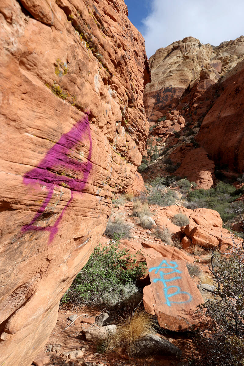 Graffiti spray painted on rocks in the Ash Creek Spring area of Red Rock Canyon National Conser ...