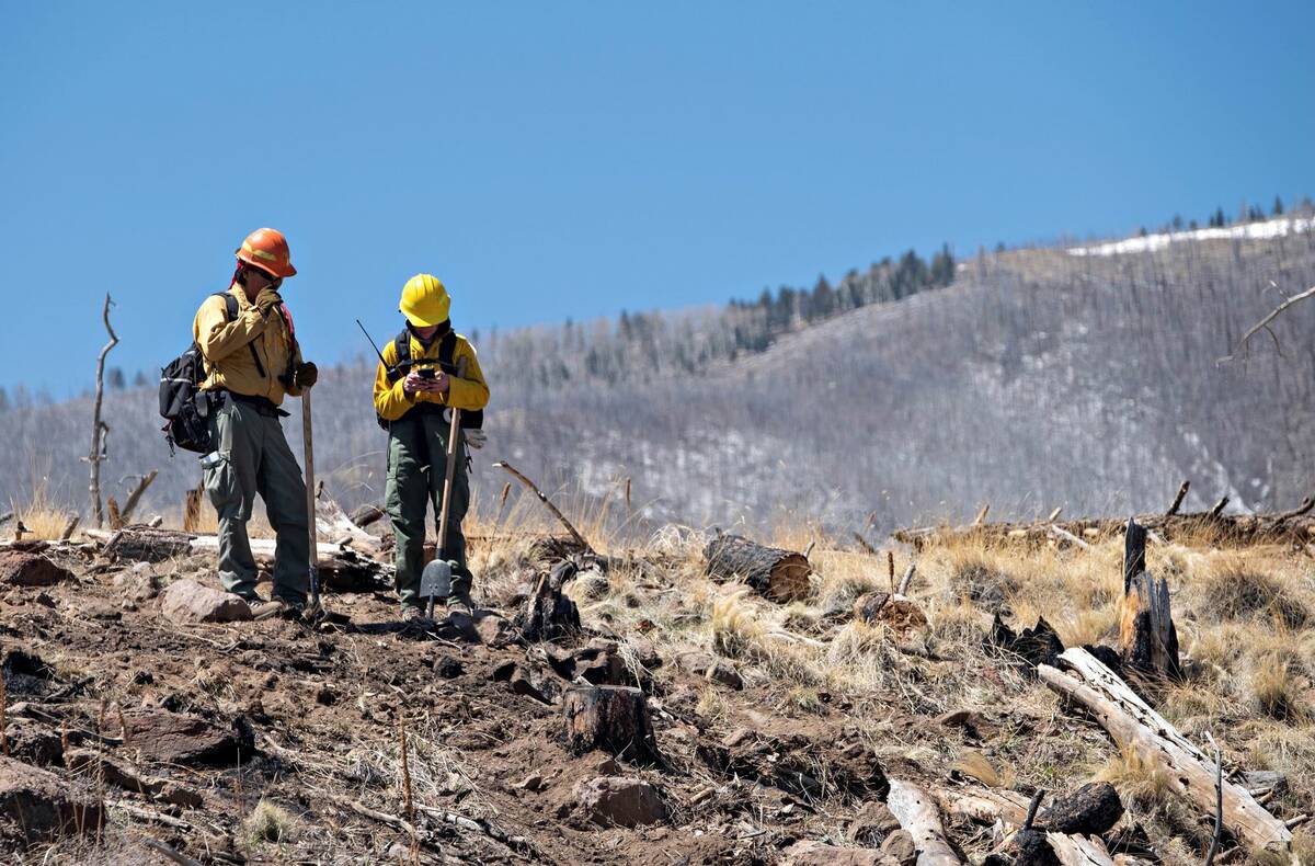 A pair of Resource Advisors from the Coconino National Forest record data in Division Alpha as ...