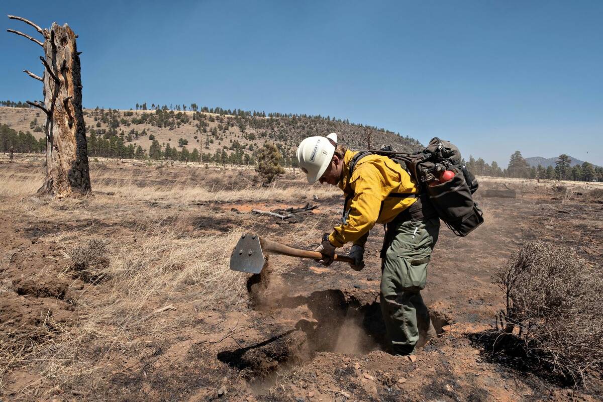 A member of the Arizona Department of Forestry and Fire Management Phoenix Crew dig at burning ...