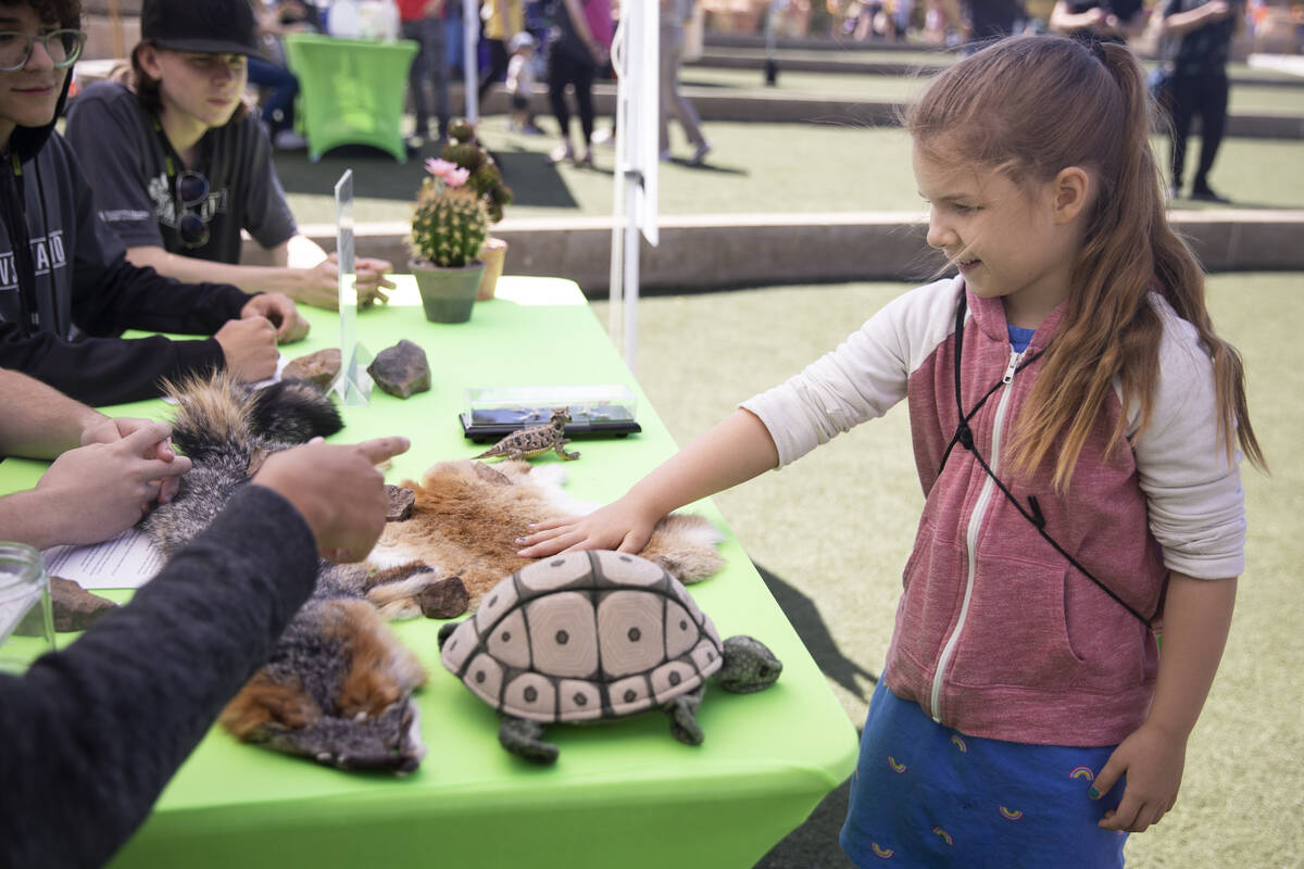 Lily L., 6, of Henderson, learns about desert animals during an Earth Day celebration at Spring ...